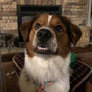 Meet your Posher, Isabel